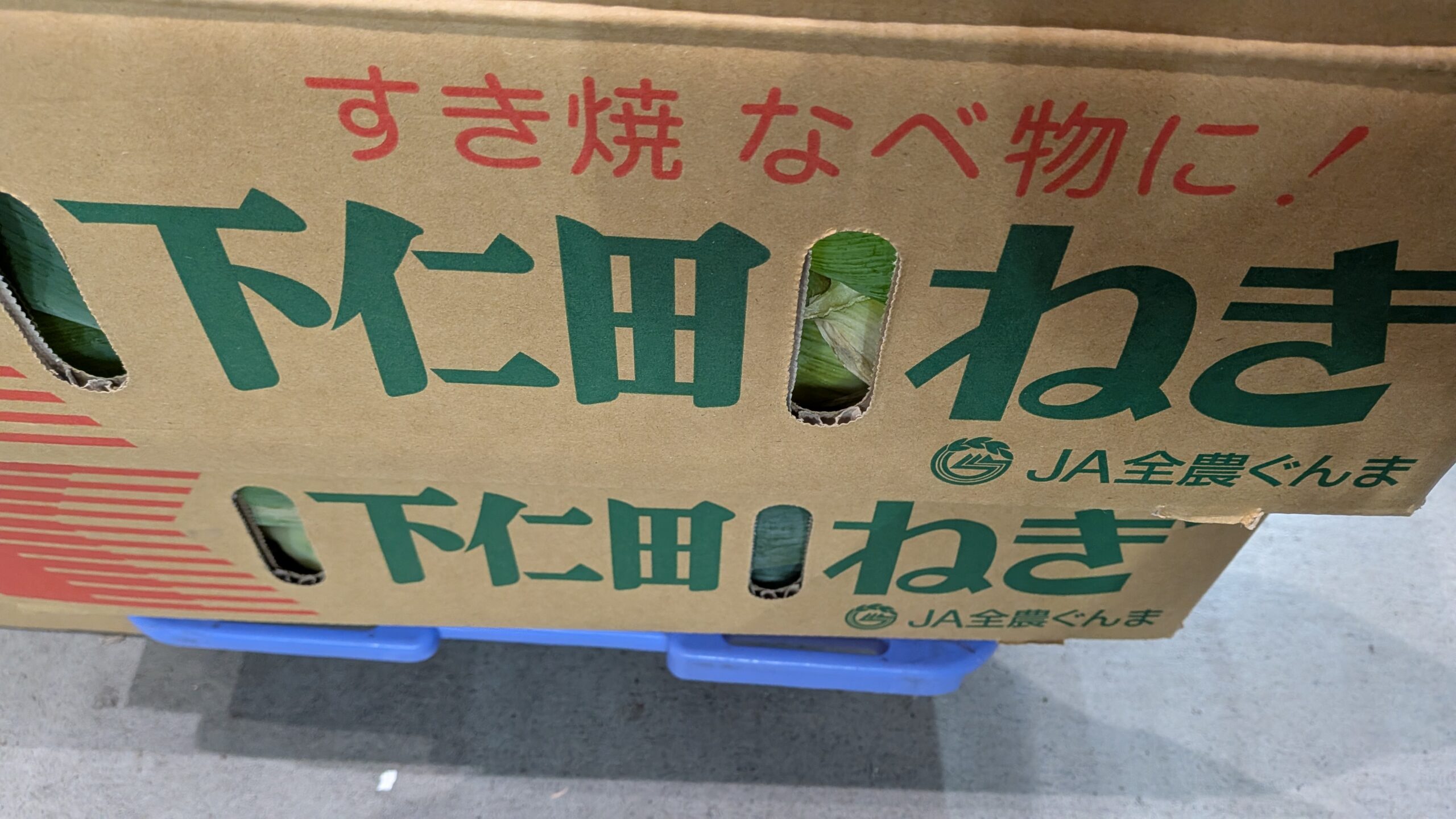 2026.10.27  【早くも下仁田葱入荷です！】